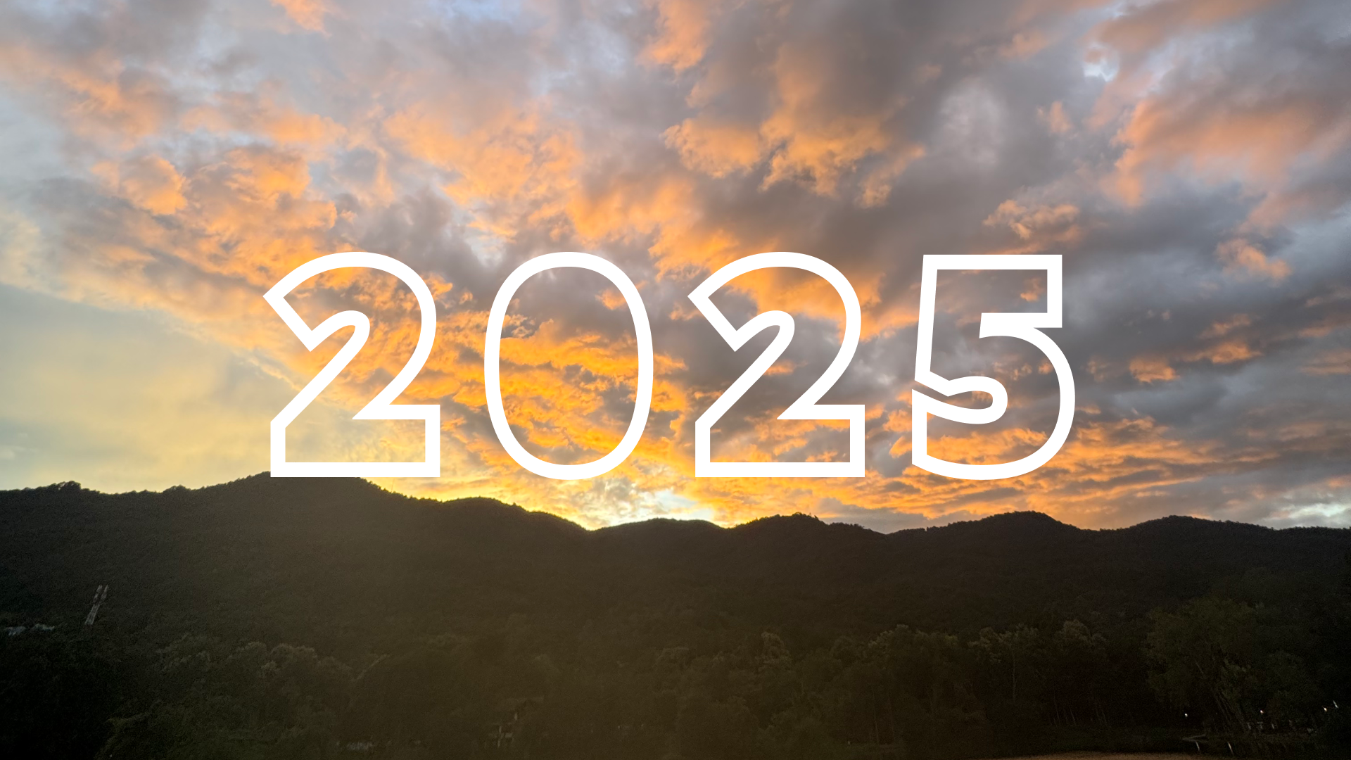 Summary 2025